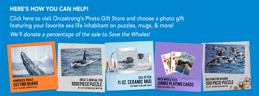 You can help preserve our oceans and its inhabitants by purchasing your own sea life photo gift.