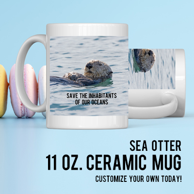 Make an 11 oz Ceramic Mug